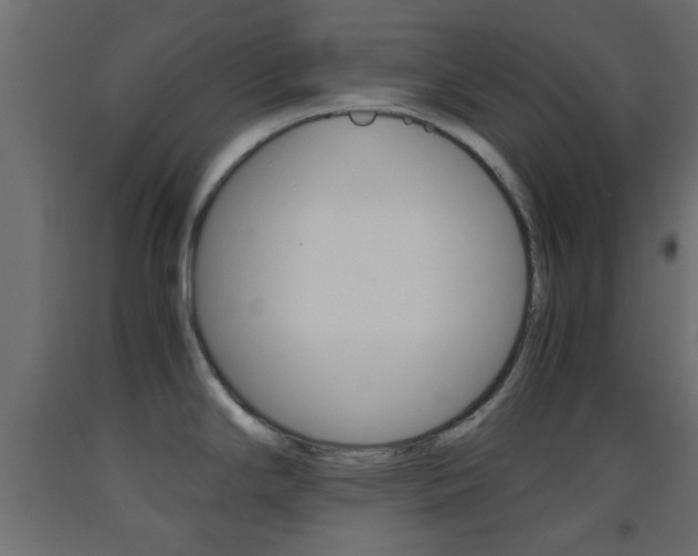 X0000093441294200710120938