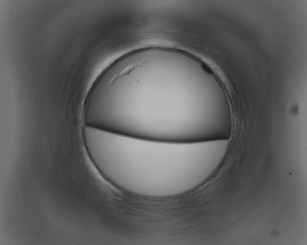 X0000093441295200710120938