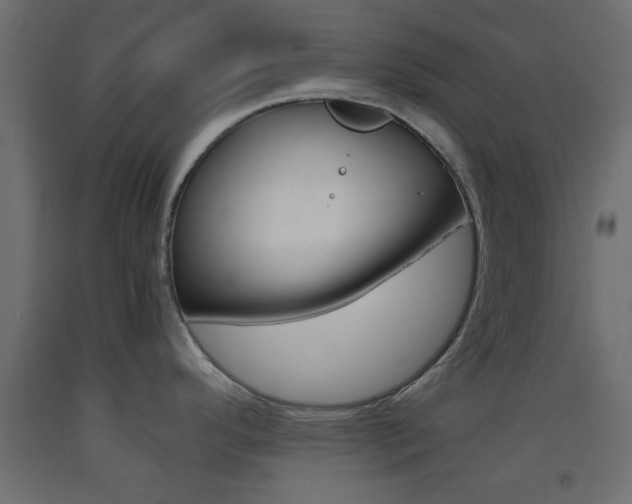 X0000093441296200710120938