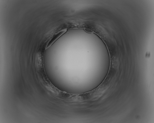 X0000093441298200710120938
