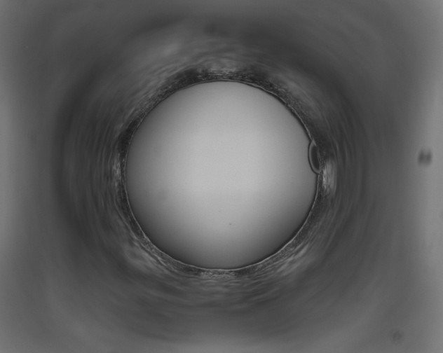 X0000093441299200710120938