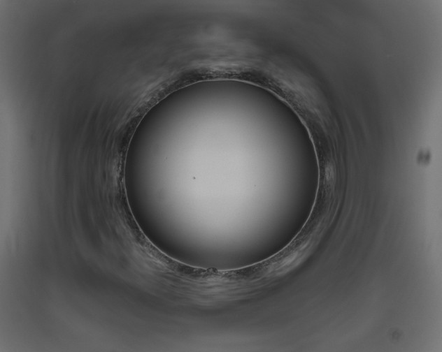 X0000093441300200710120938