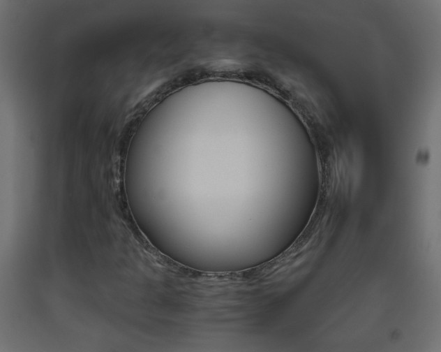 X0000093441301200710120938