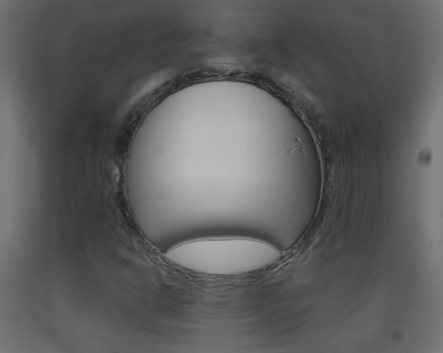 X0000093441302200710120938
