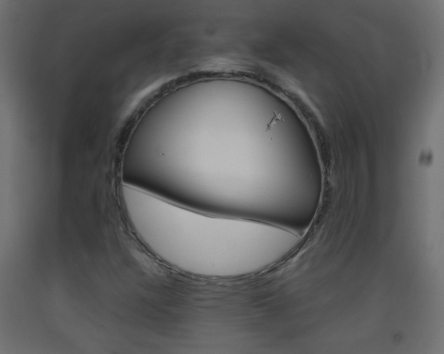 X0000093441304200710120938