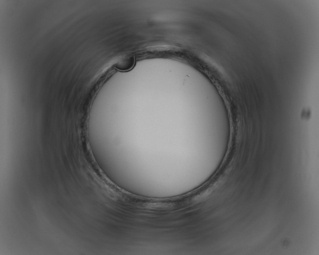 X0000093441305200710120938