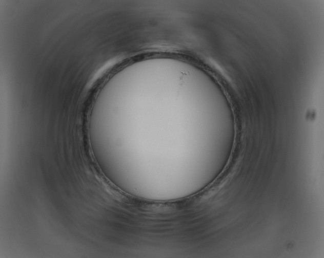 X0000093441307200710120938