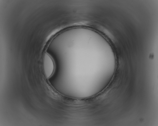X0000093441308200710120938