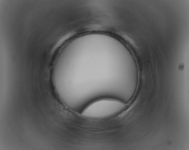 X0000093441309200710120938