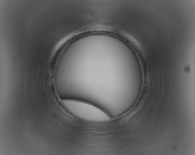 X0000093441310200710120938