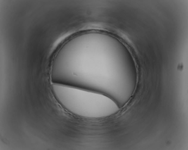 X0000093441312200710120938
