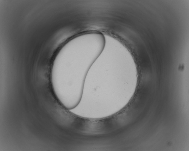 X0000093441314200710120938