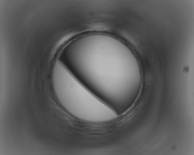 X0000093441315200710120938