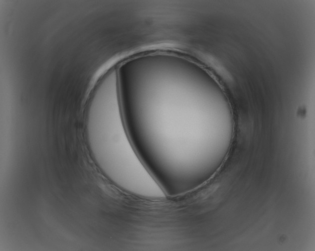 X0000093441316200710120938