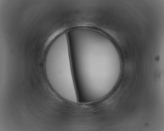 X0000093441317200710120938