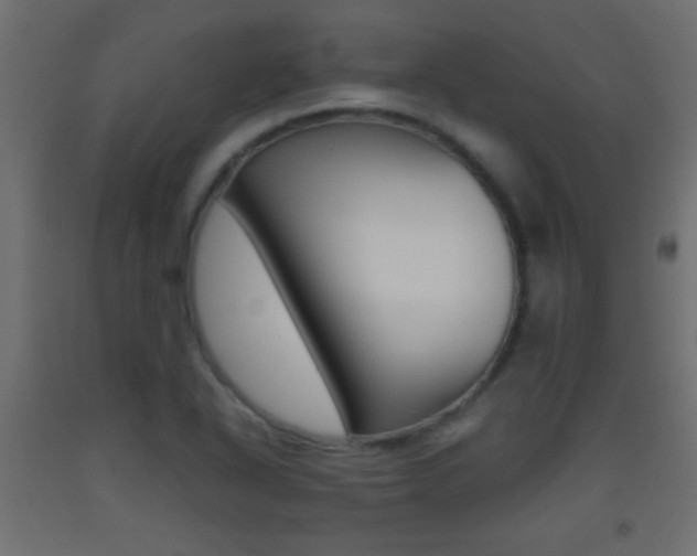 X0000093441318200710120938