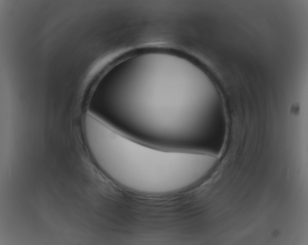X0000093441319200710120938