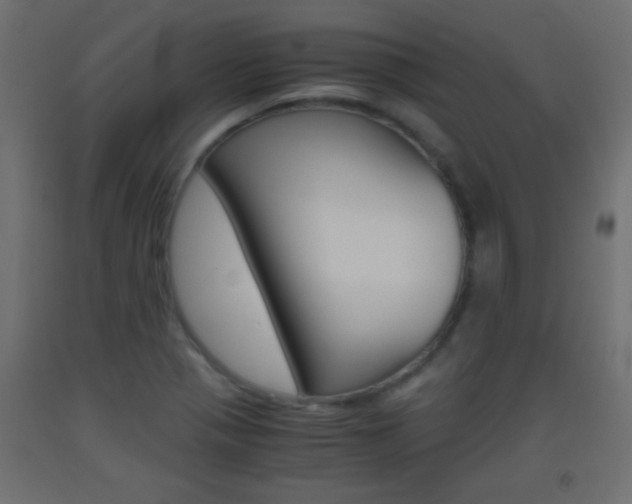 X0000093441321200710120938