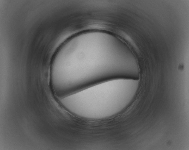 X0000093441323200710120938