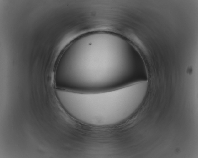 X0000093441324200710120938