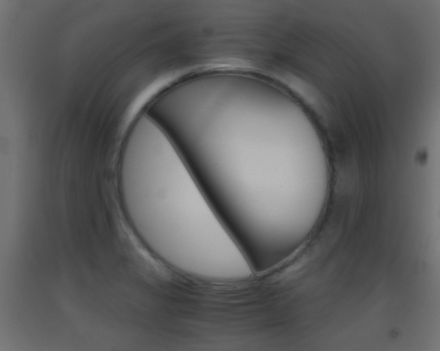 X0000093441325200710120938