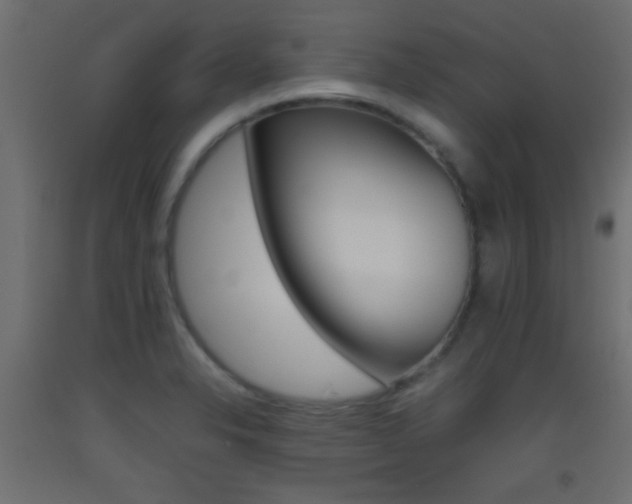 X0000093441326200710120938