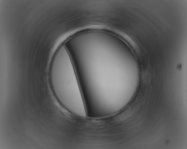 X0000093441327200710120938