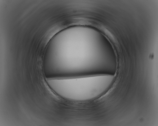 X0000093441329200710120938