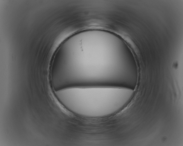 X0000093441333200710120938