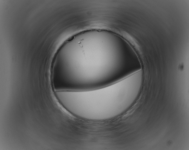 X0000093441334200710120938
