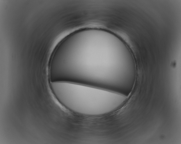 X0000093441335200710120938