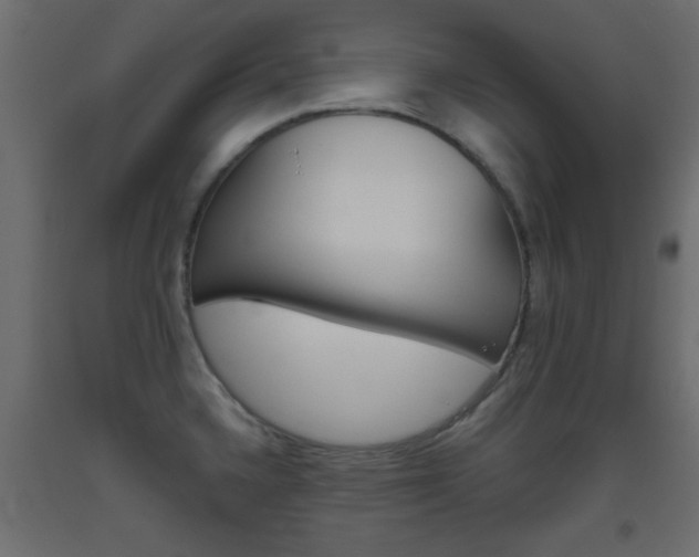 X0000093441336200710120938