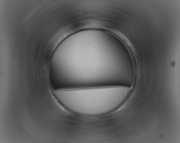 X0000093441337200710120938