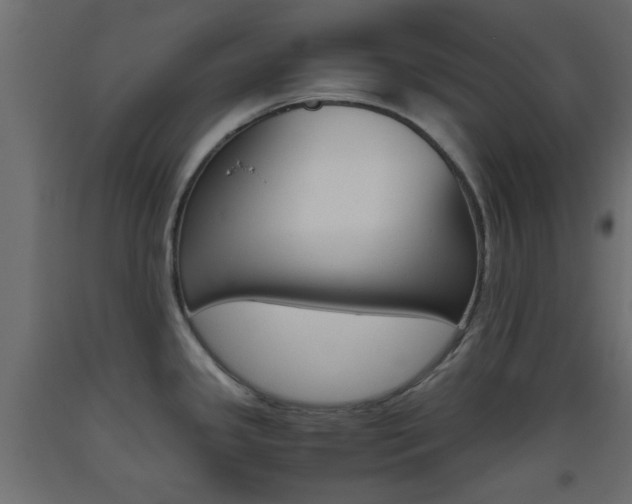 X0000093441341200710120938