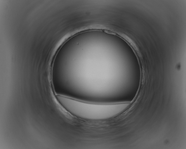 X0000093441342200710120938