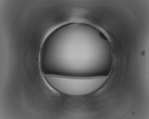 X0000093441343200710120938