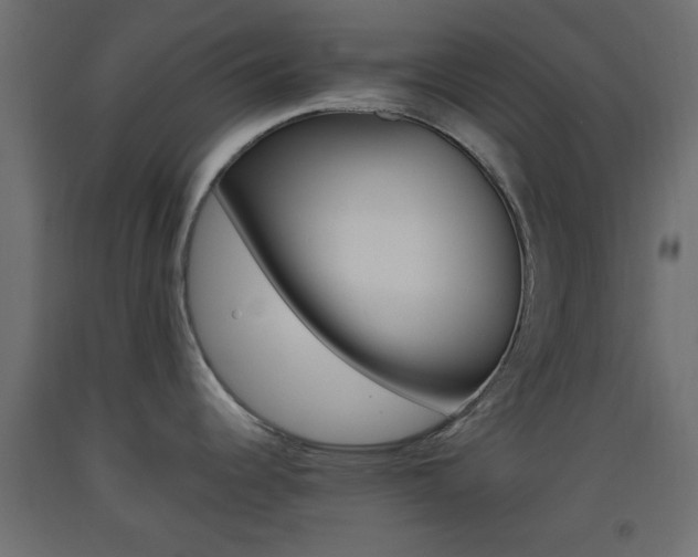 X0000093441344200710120938