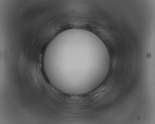 X0000093441346200710120937