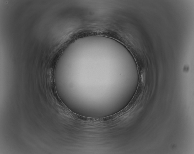 X0000093441347200710120937