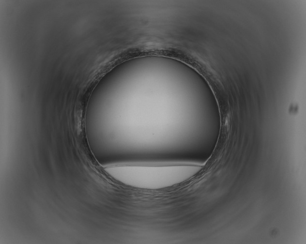 X0000093441348200710120937