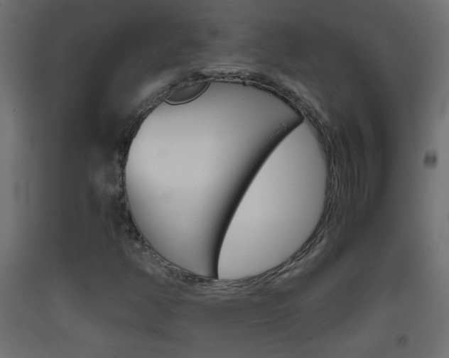 X0000093441350200710120937