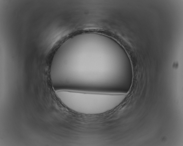 X0000093441351200710120937