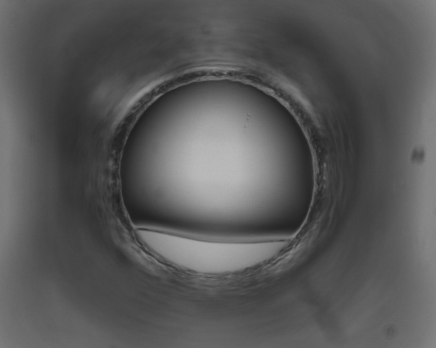 X0000093441352200710120937