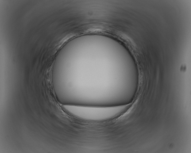 X0000093441353200710120937