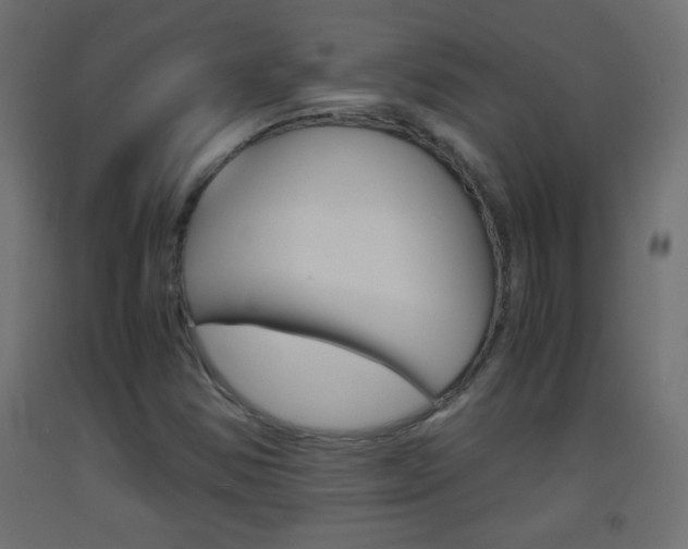 X0000093441354200710120937