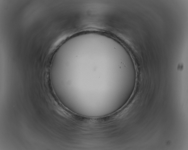 X0000093441355200710120937