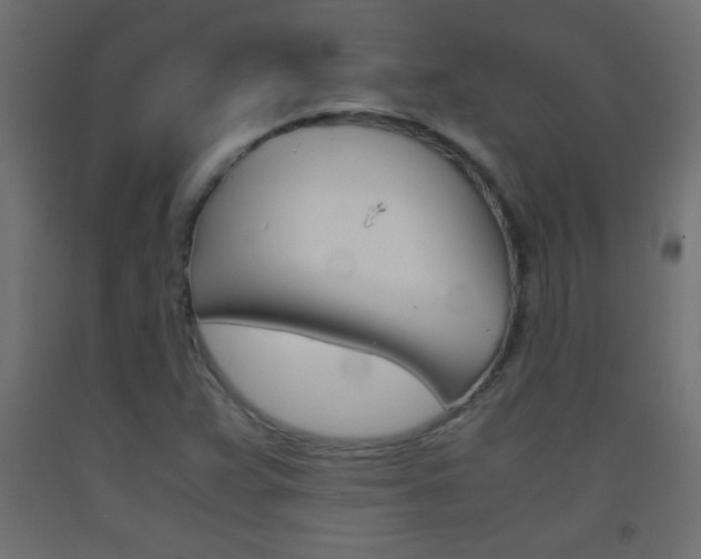 X0000093441359200710120937