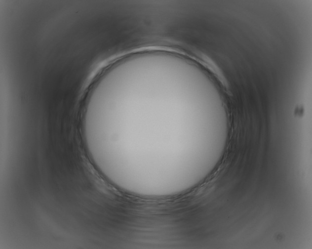X0000093441360200710120937