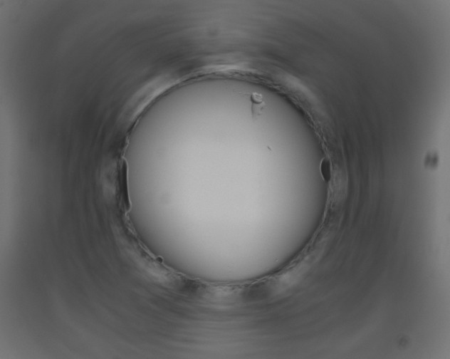 X0000093441361200710120937