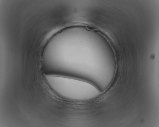 X0000093441363200710120937